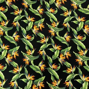 Birds of Paradise Gorgous Black Fabric | Black 0223 BLK-0002C