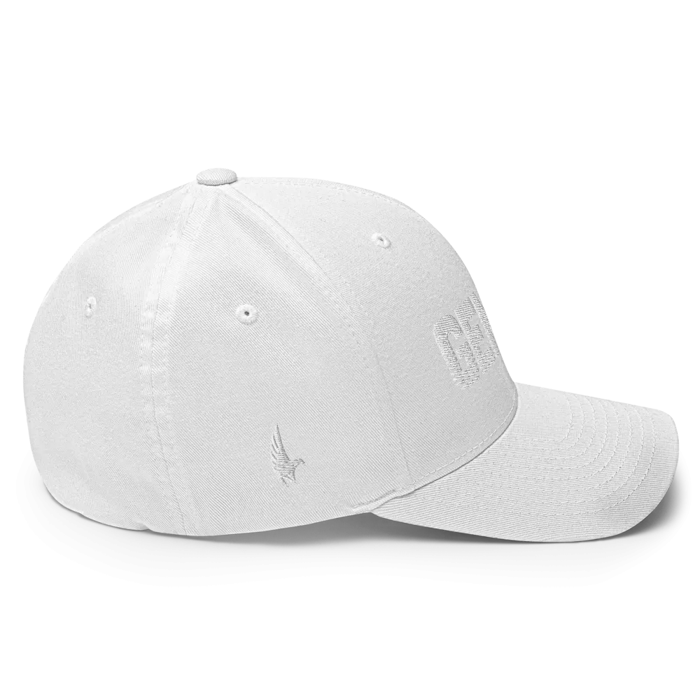 Gemini Fitted Hat