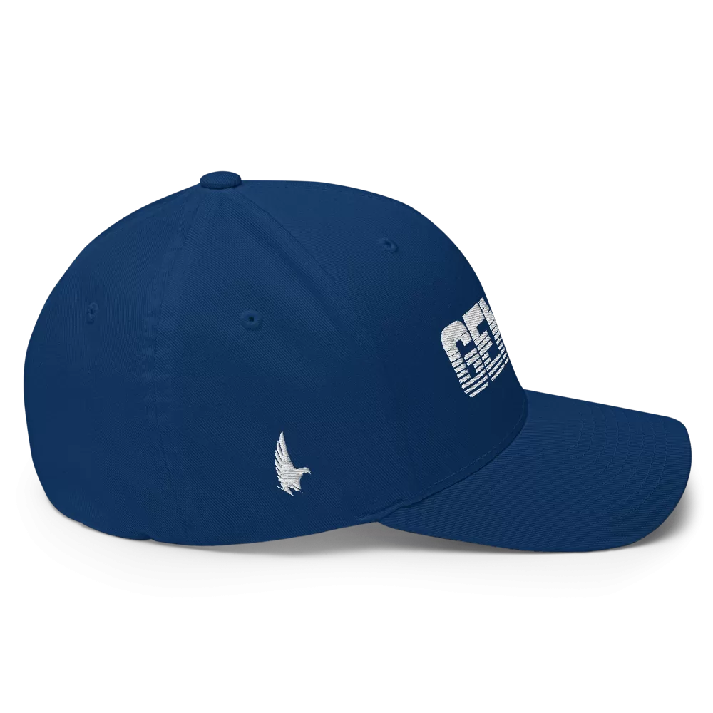 Gemini Fitted Hat