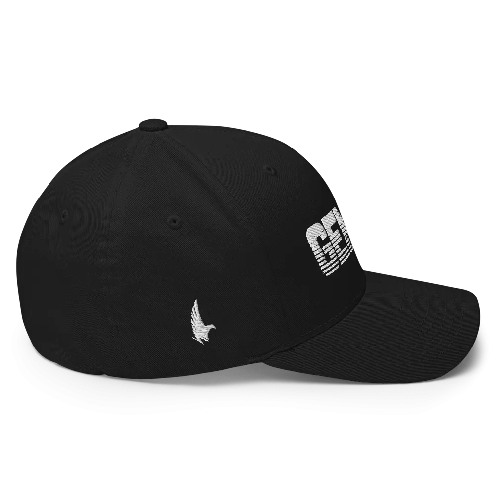 Gemini Fitted Hat