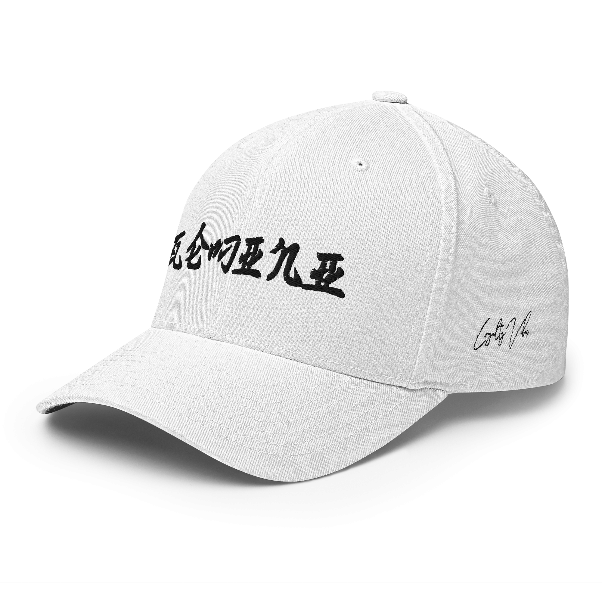 Gemini Rising Fitted Hat