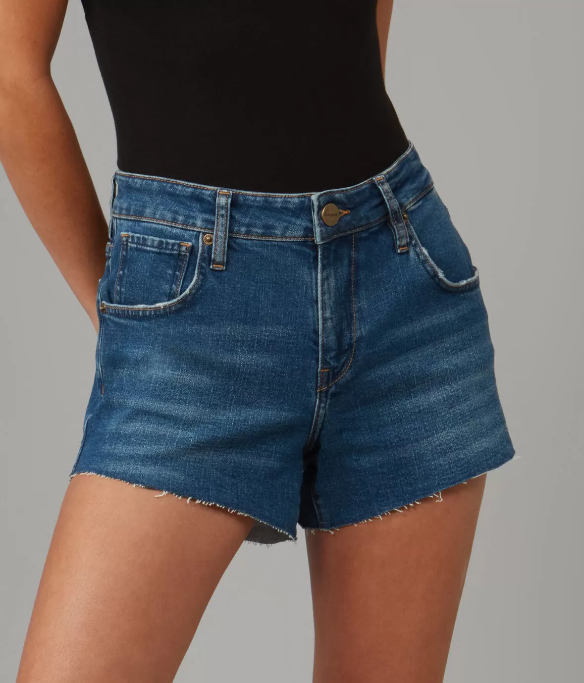 LIANA-RMN High Rise Shorts