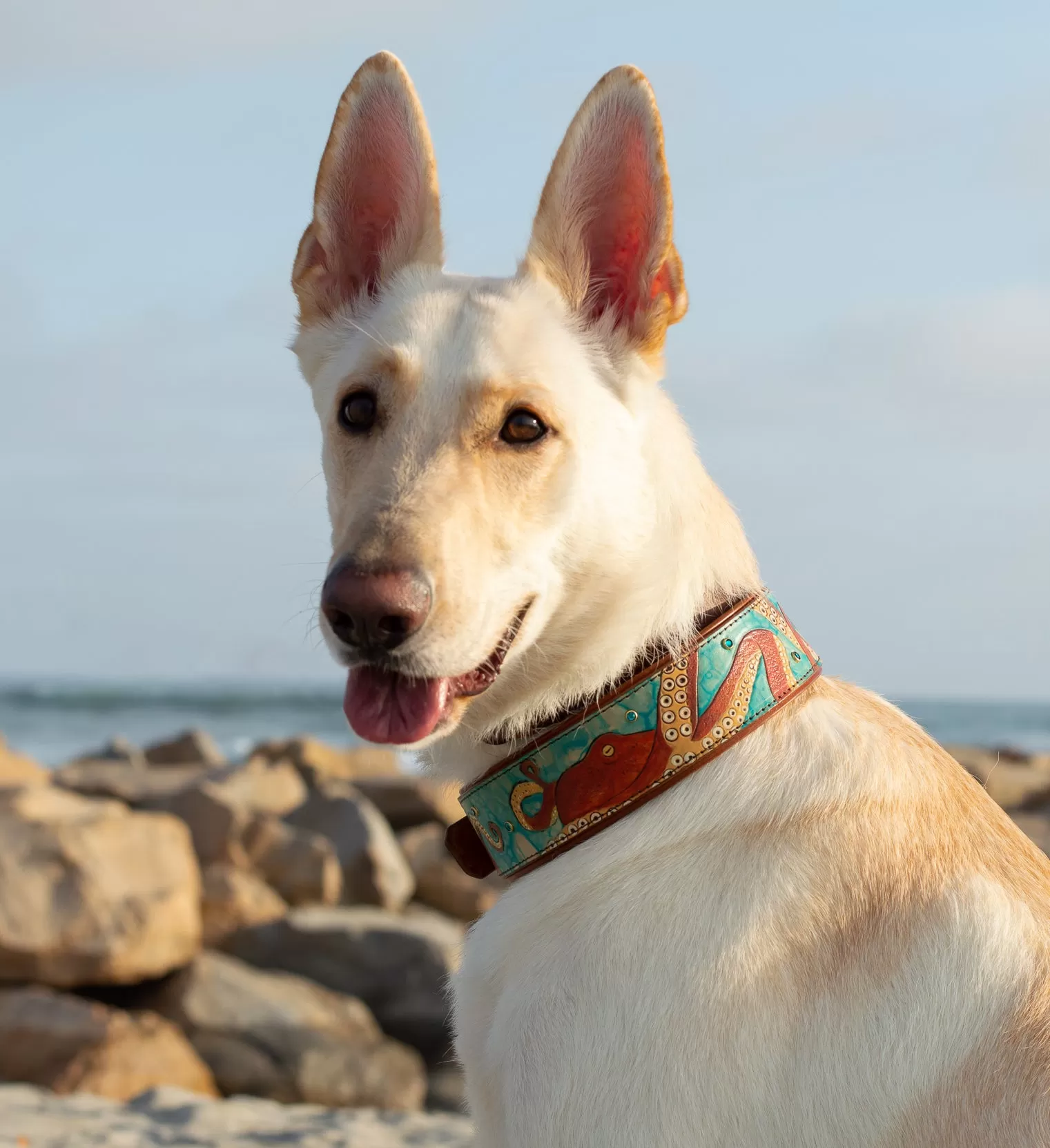 Octopus Dog Collar